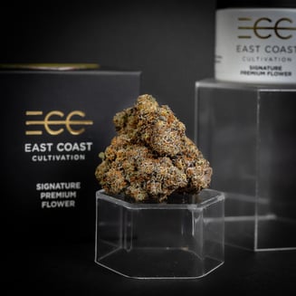 Betty Ford by East Coast Cultivation