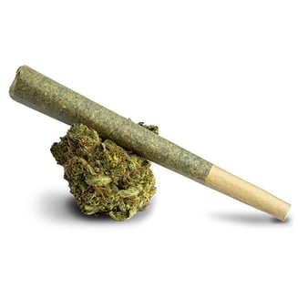Apple Fritter [.5g] by Insa