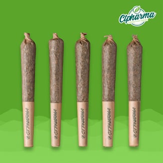 A1 Haze Shorties H 26140 by CTPharma
