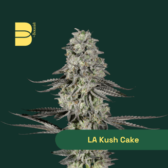 La Kush Cake by Botanist