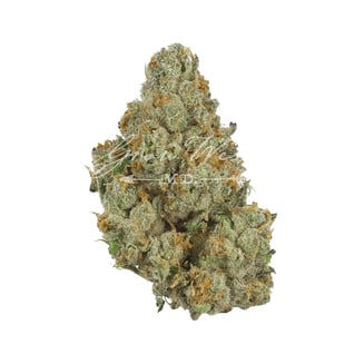 Grow West — Member Berry