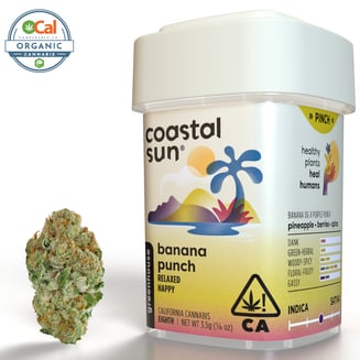 Coastal Sun: Banana Punch