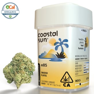 Coastal Sun — E85
