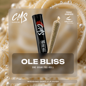 Ole Bliss by CMS Gardens