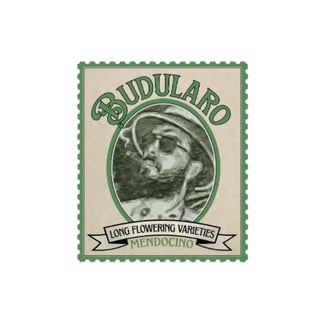 Budularo — Malawi Durban