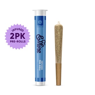 Z Glue [.5g] by &Shine