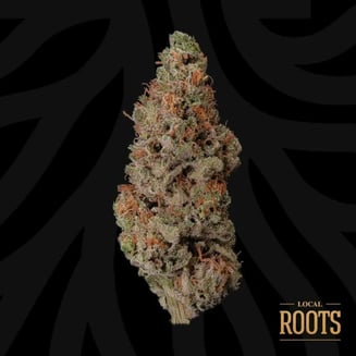 Motorbreath by Local Roots