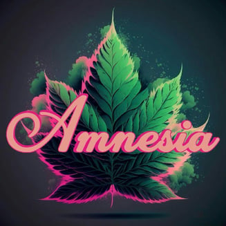 Banana Bliss by Amnesia