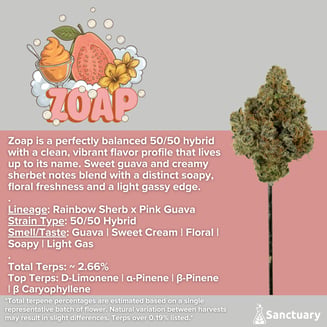 Whole Buds - Zoap by Sanctuary