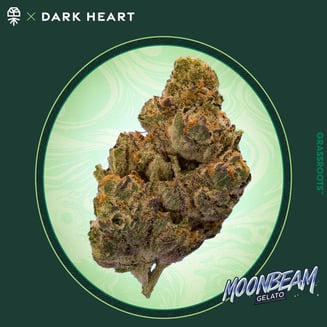Grassroots — Moonbeam Gelato