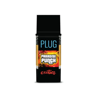 PlugPlay — Paradise Punch