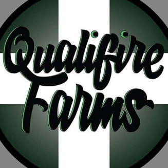 Z Kush by Qualifire Farms