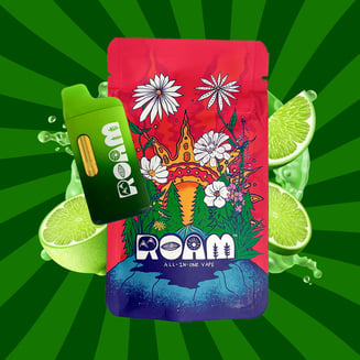Lime Sorbet 1g by ROAM