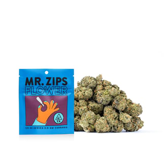 Mr. Zips: Governmint Oasis