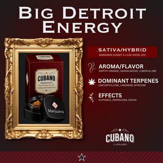 Big Detroit Energy