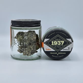 Tricho Jordan #5 by 1937 Farms