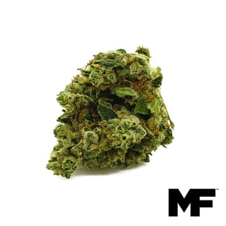 Modern Flower — Wood Shiva