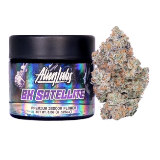 Alien Labs — BK Satellite