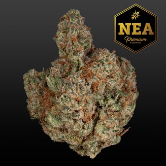 '15 GSC by Northeast Alternatives