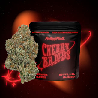Cherry Bands by Poetry of Plants