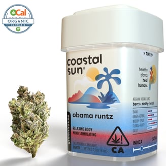 Coastal Sun — Obama Runtz