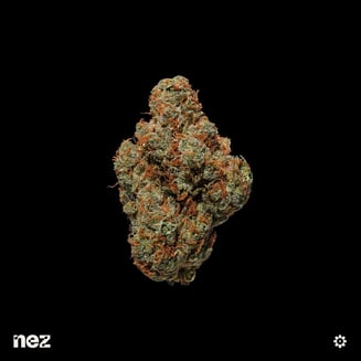 NEZ — Strawberry Guava