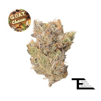 Team Elite Genetics: G.o.a.t Cheese