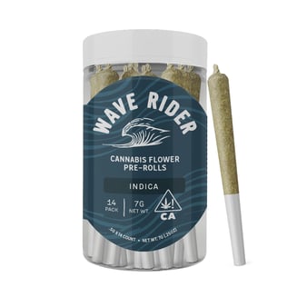 Wave Rider — Glaciers OG