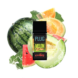 PlugPlay — Melon Dew