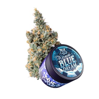 Blue Chip — Platinum Blue Dream