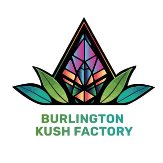 Hippie Crasher [1g] by Burlington Kush Factory