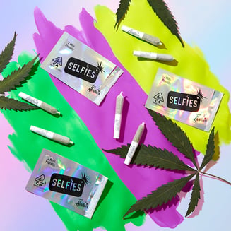 SELFiES — Gelato Crunch