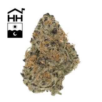 Dulce De Uva by Harbor House Collective