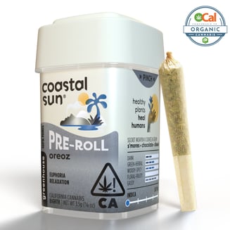 Coastal Sun: Cream Cookiez