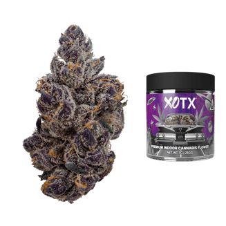 XOTX — Gasnana