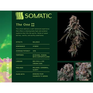 The One by Somatic