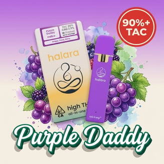 Halara — Purple Daddy