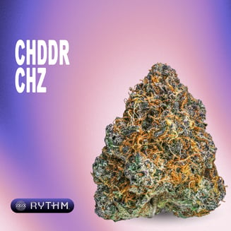 Cheddar Cheeze