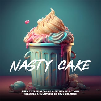 Nasty Cake by True Organics