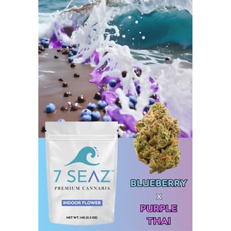 Blueberry x Purple Thai by 7 SEAZ