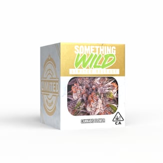 Decibel Gardens: Something Wild