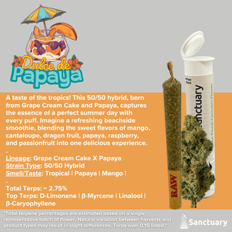 Pre-Roll - Dulce de Papaya [1g] by Sanctuary