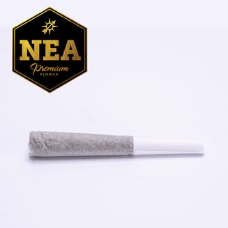 Apple Fritter [.5g] by Northeast Alternatives