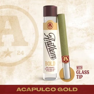 Bold Infused Acapulco Gold [1g] by Anthem