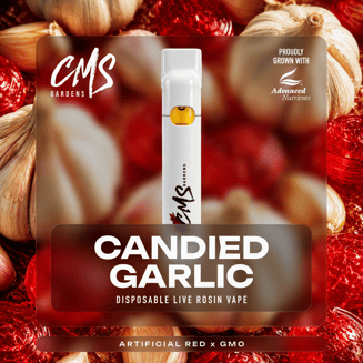 Candied Garlic [1000mg]