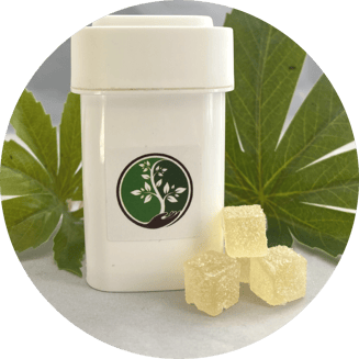 Raspberry [10 doses] by Dharma Pharmaceuticals
