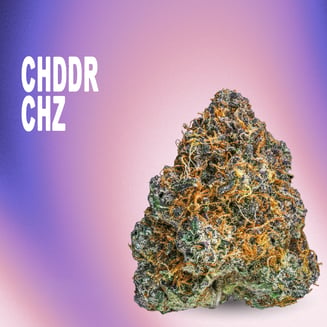 Cheddar Cheeze