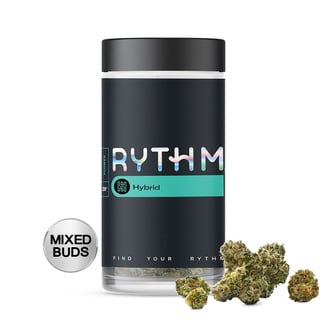 Rythm 28g Creamsicle Sunset (H) 01641 by RYTHM