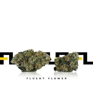 Vanilla Frost by FLUENT Flower