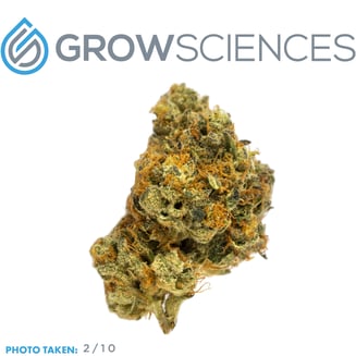 Grow Sciences — Secret Triangle